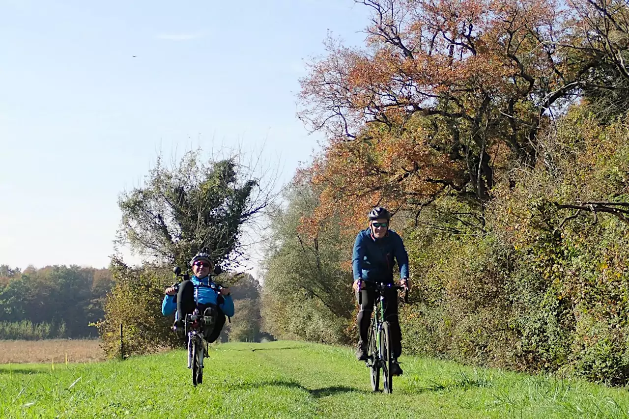 Cyclists while crossing the plain wood of Muzzana